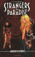Cover of Strangers in Paradise, Volume 14: David's Story