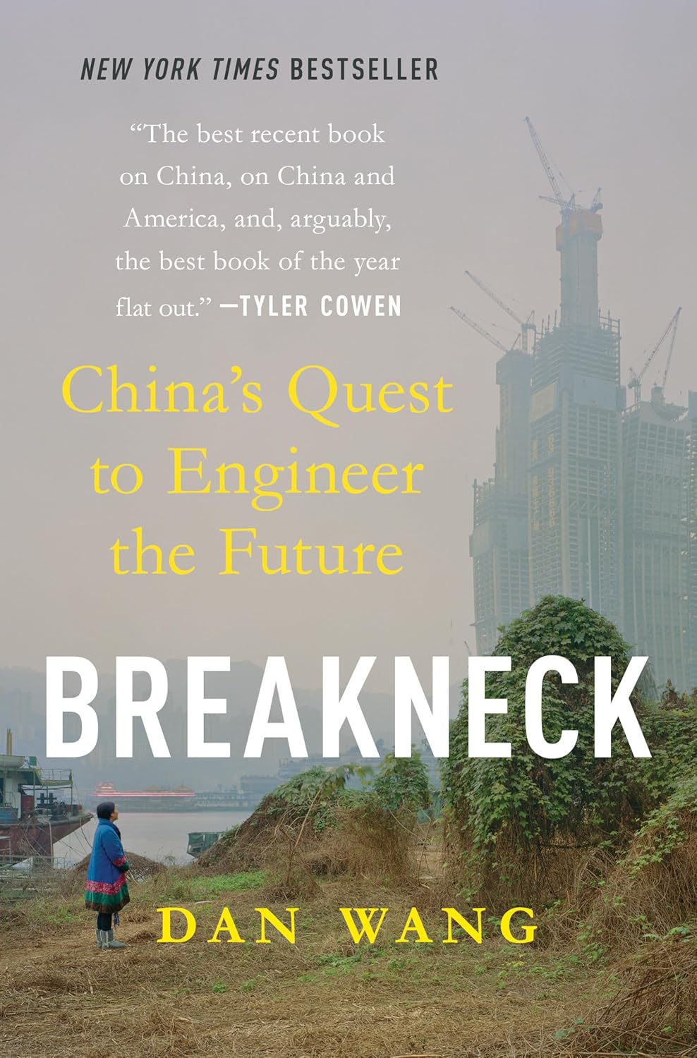 Book cover for Breakneck: China's Quest to Engineer the Future